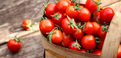 Analisi Bromatologica sulle Conserve di Pomodori